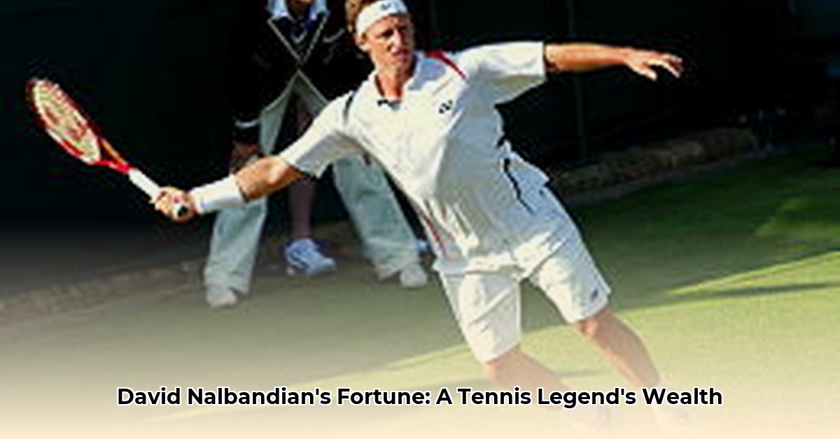 david-nalbandian-net-worth